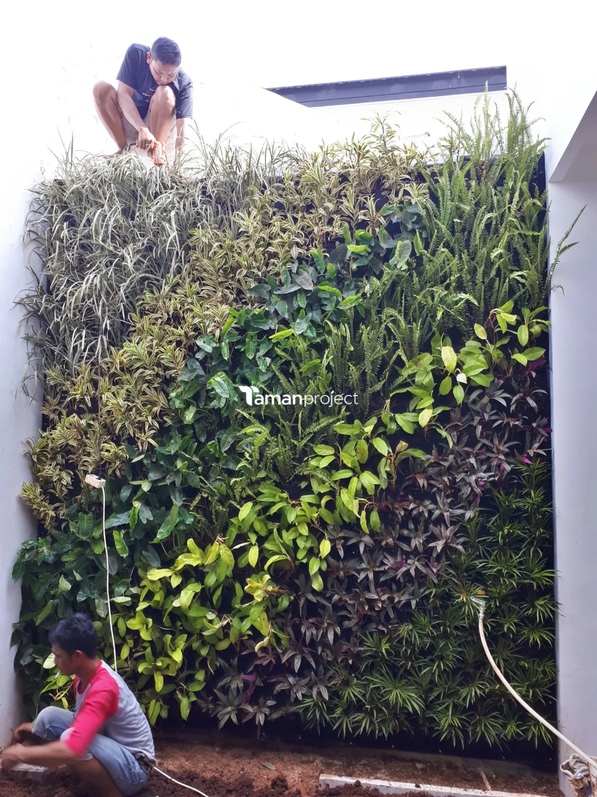 taman vertikal minimalis